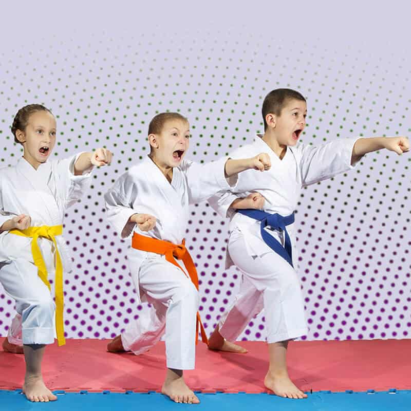 Martial Arts Lessons for Kids in Boise ID - Punching Focus Kids Sync